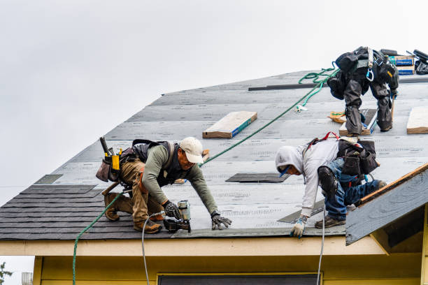 Professional Storm Damage Roof Repair technician working in Austin, IN